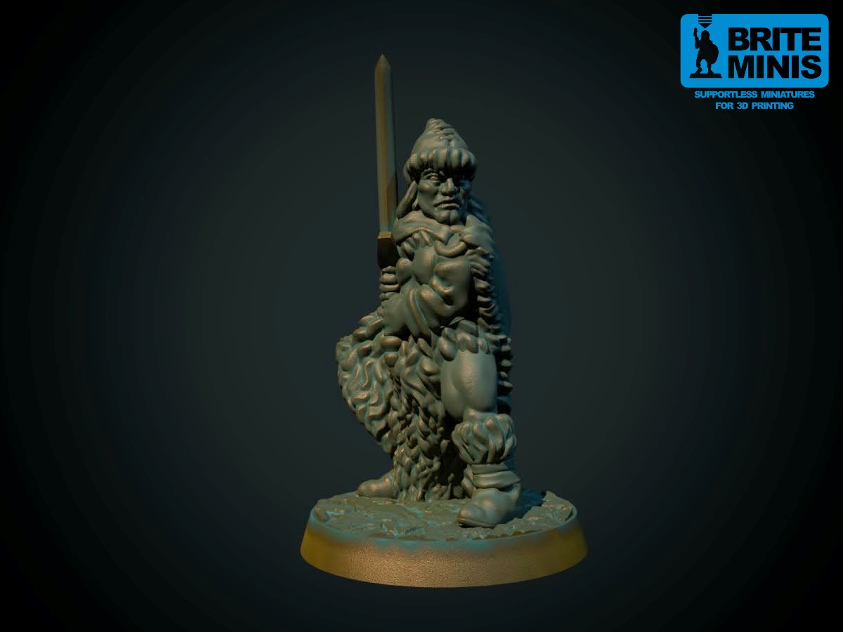Barbarian with sword