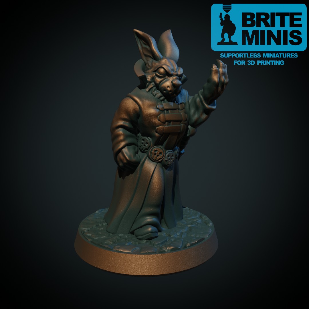 Rabbitfolk wizard
