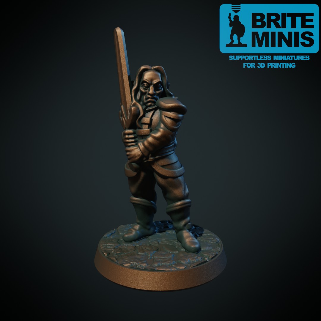 Dark elf with sword