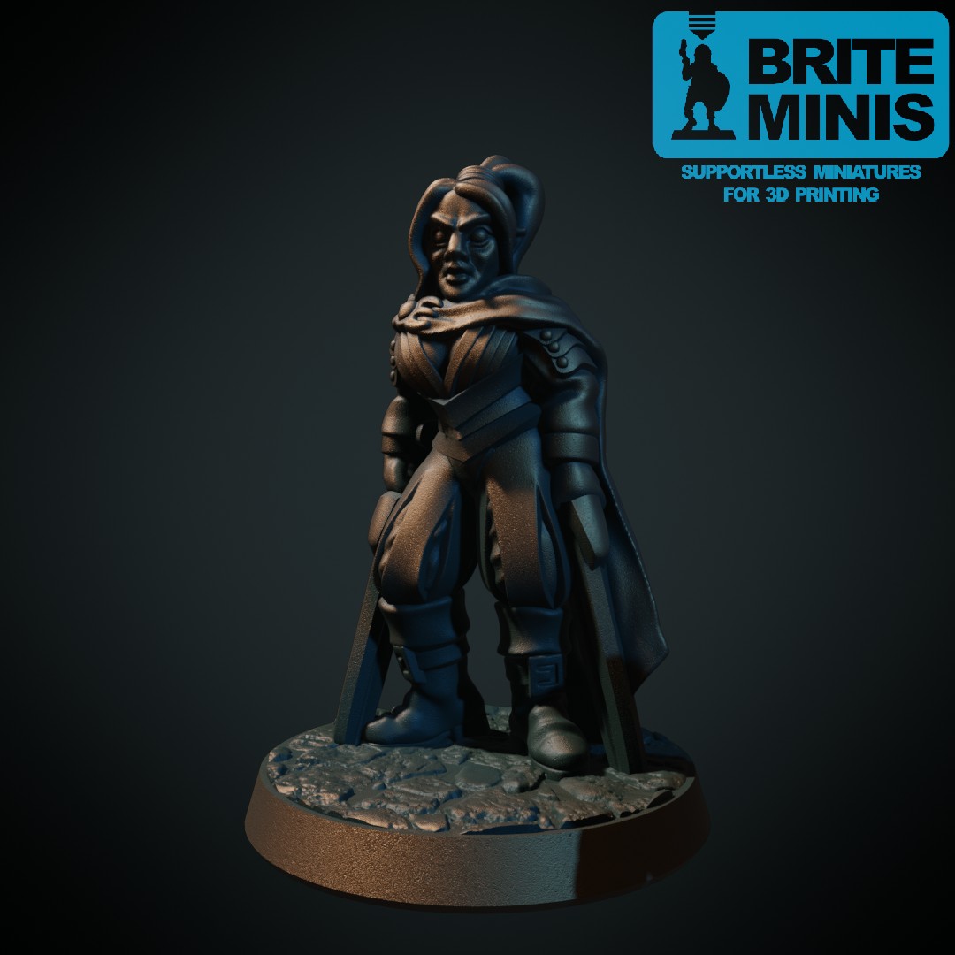 female dark elf with swords