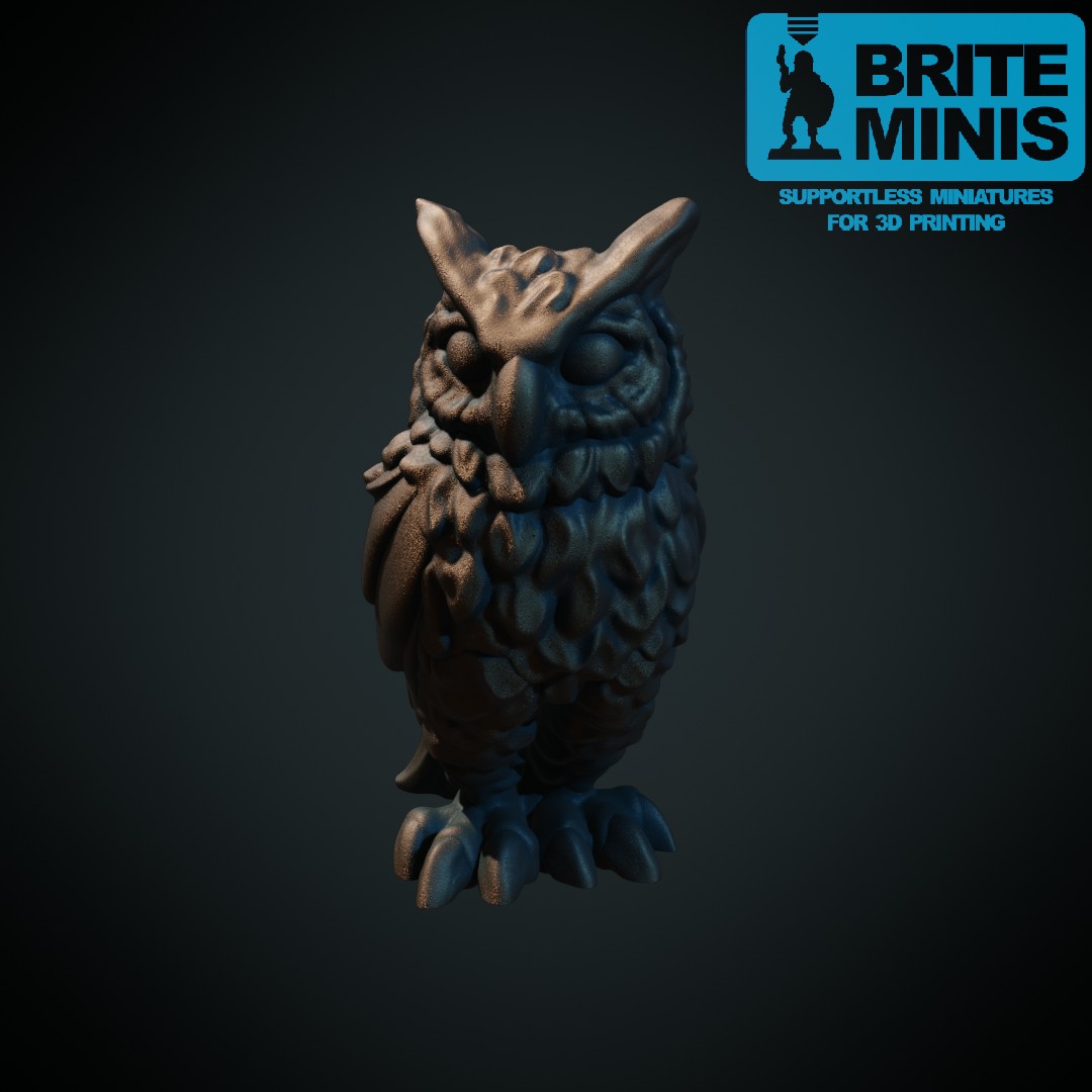 Owl