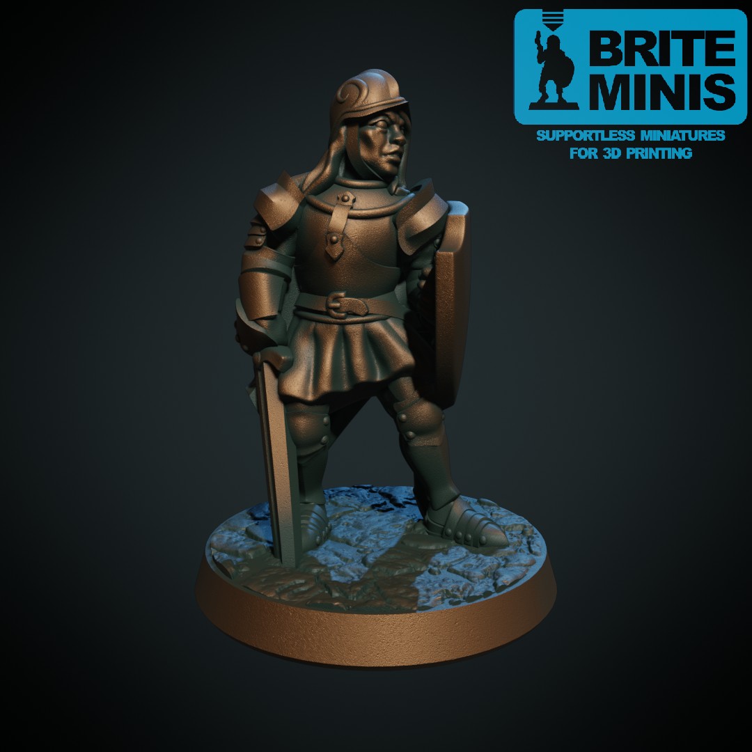 Paladin female