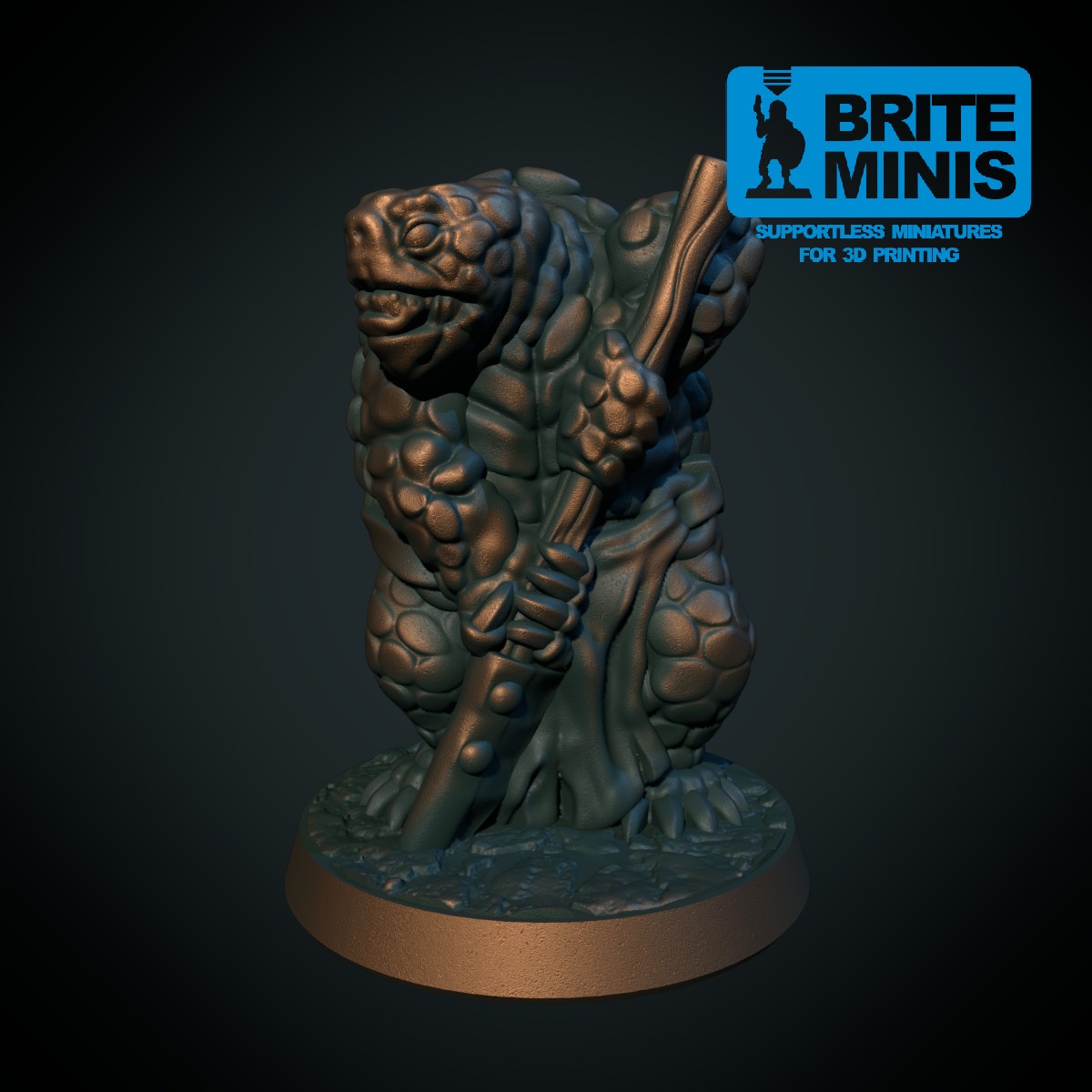 Tortle with spear