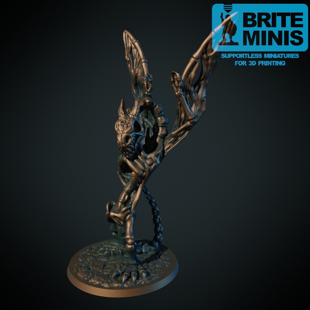 Wyvern skeleton