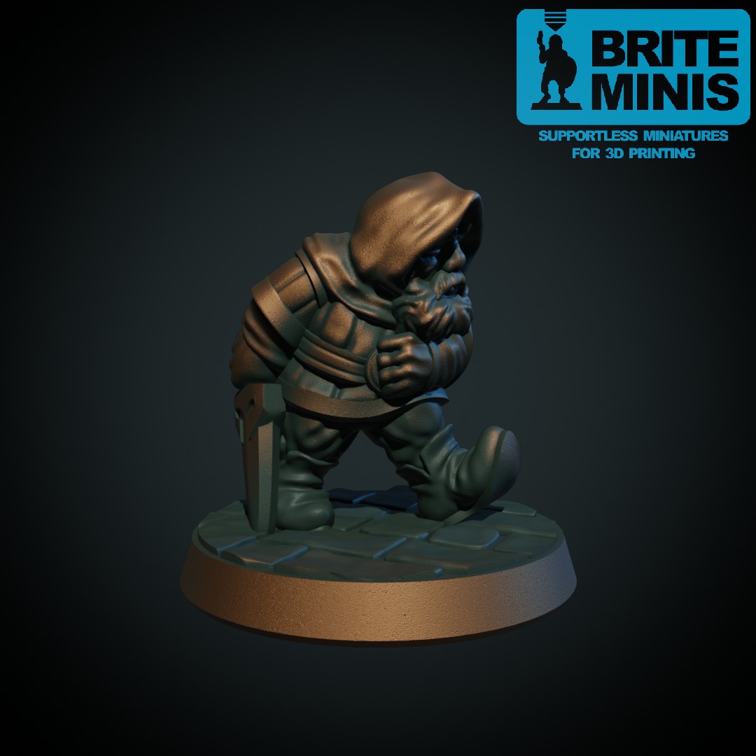 Dwarf rogue