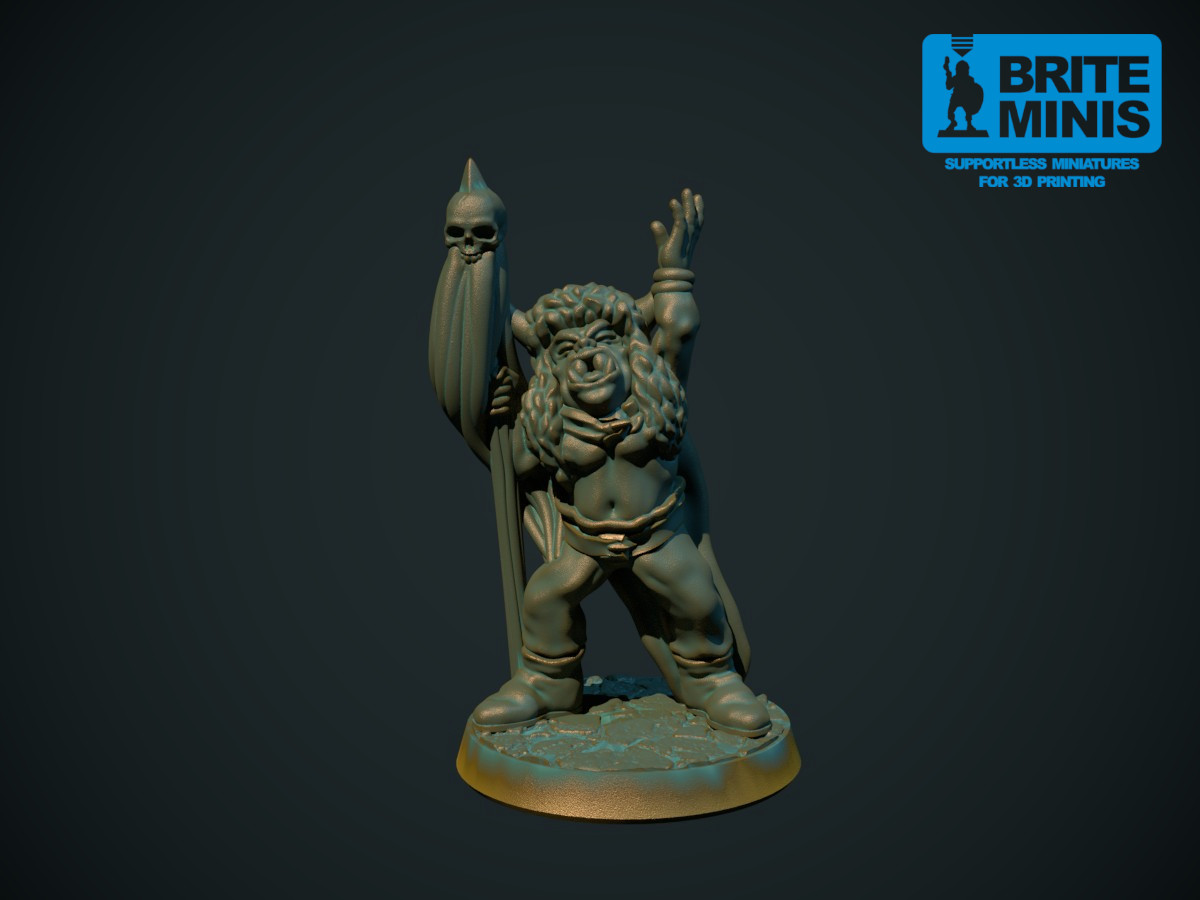 Orc shaman