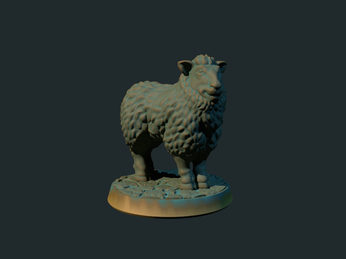 Sheep
